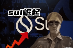 Sui：一条特立独行的公链，专注游戏、合规与Web2合作