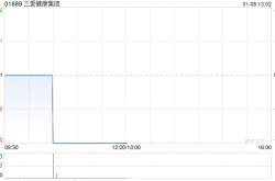 三爱健康集团股本削减聆讯结果及区块链技术应用探讨